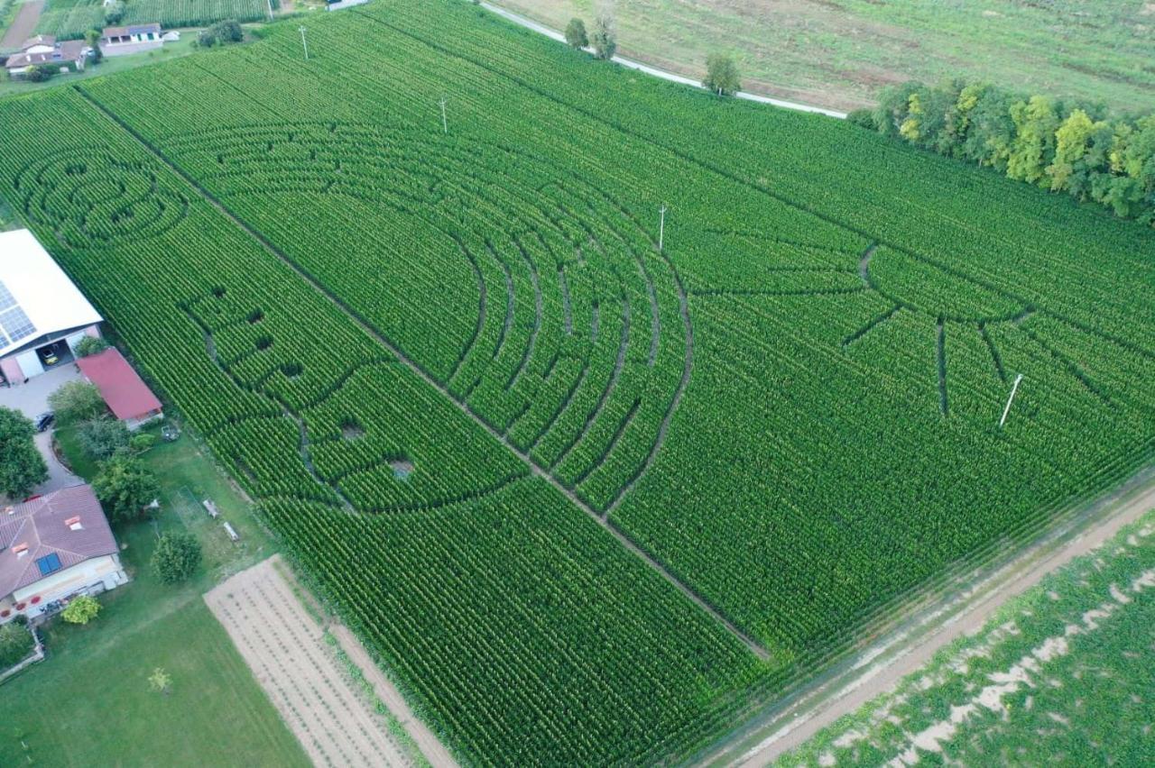 La Selce Farmhouse Acomodação com café da manhã Bagnario Arsa Exterior foto