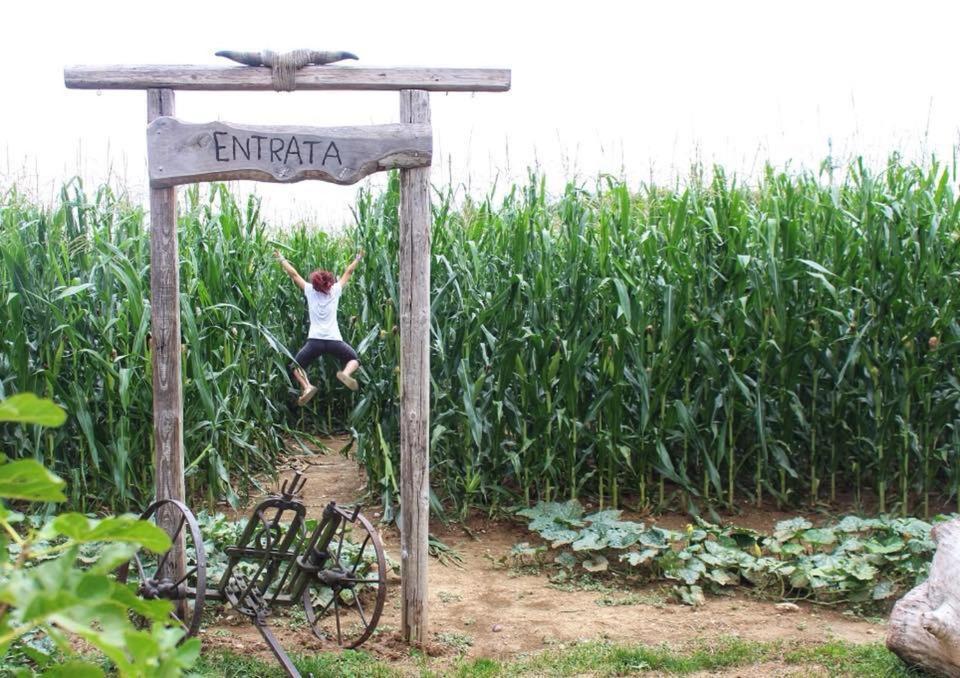 La Selce Farmhouse Acomodação com café da manhã Bagnario Arsa Exterior foto