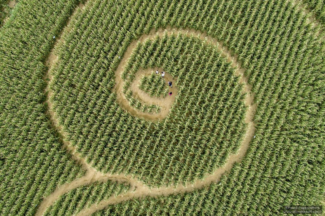 La Selce Farmhouse Acomodação com café da manhã Bagnario Arsa Exterior foto